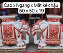 ĐÔN VOI ĐỎ VÒI XUỐNG CÓ ĐẾ
