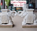 ĐÔN VOI TRẮNG CÓ ĐẾ