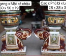 COMBO ĐÔN VOI VÀ CHẬU TRÁI PHÁO (CHỮ PHƯỚC) VỪA