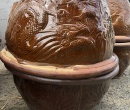Chậu rồng