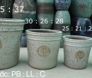BỘ BỐN CHẬU XUẤT ÂU