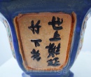 CHẬU LY XANH DƯƠNG