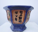 CHẬU LY XANH DƯƠNG