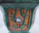 CHẬU LY XANH LÁ