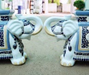 ĐÔI VOI TRẮNG XANH DƯƠNG KHÔNG ĐẾ