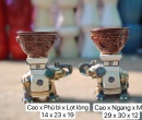 COMBO ĐÔN VOI VÀ CHẬU MINI