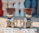 COMBO ĐÔN VOI VÀ CHẬU MINI
