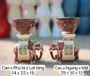 COMBO ĐÔN VOI VÀ CHẬU MINI
