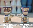 COMBO ĐÔN VOI VÀ CHẬU MINI
