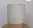 CHẬU TRỤ TRẮNG NGÀ XUẤT KHẨU