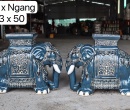 ĐÔN VOI XANH NAVY MỚI KHÔNG ĐẾ