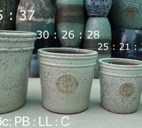 BỘ BỐN CHẬU XUẤT ÂU