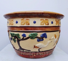 CHẬU CÒ CÁ VÀNG