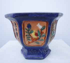 CHẬU LY XANH DƯƠNG