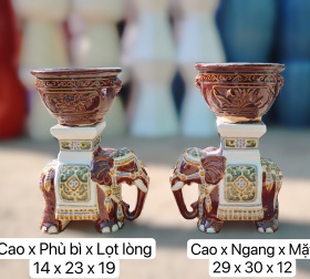 COMBO ĐÔN VOI VÀ CHẬU MINI