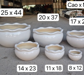 CHẬU BỘ SẤU TRÒN BÈO ĐỒNG NAI