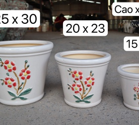 CHẬU BỘ BA HOA ĐỒNG NAI