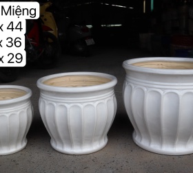 CHẬU BỘ BA KHÍA TRẮNG ĐỒNG NAI