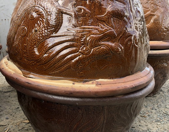 Chậu rồng
