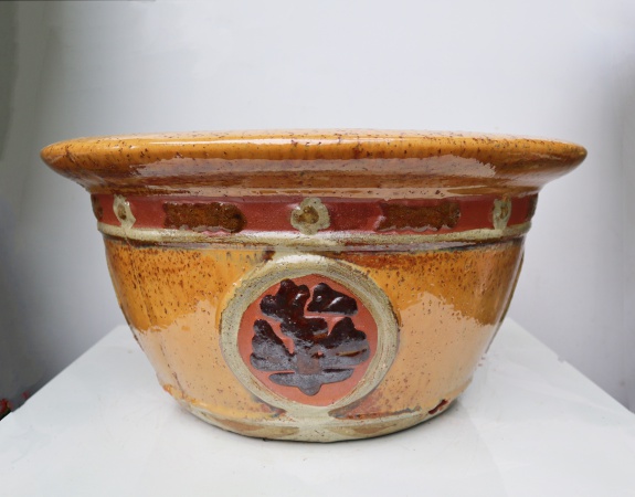 CHẬU CHỮ VÀNG NHỎ