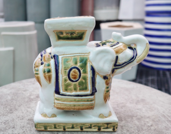 ĐÔN VOI MINI TRẮNG