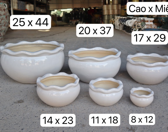 CHẬU BỘ SẤU TRÒN BÈO ĐỒNG NAI