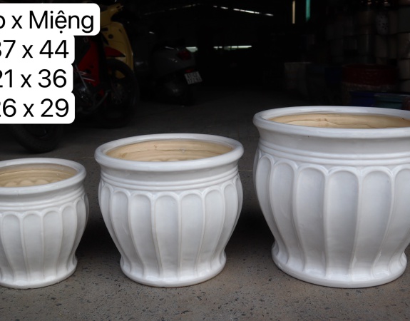 CHẬU BỘ BA KHÍA TRẮNG ĐỒNG NAI